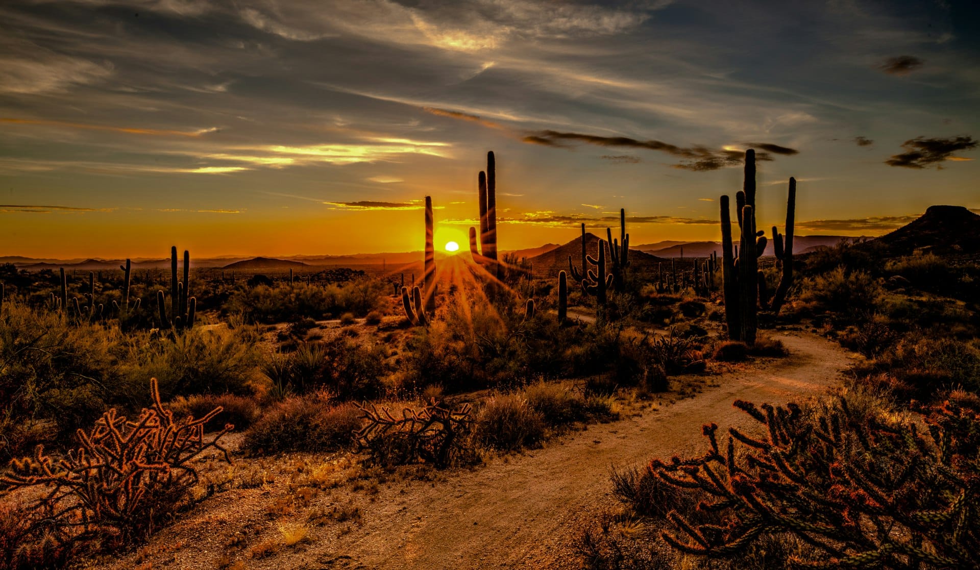 Why the McDowell Sonoran Preserve Is One of the Best Things to Do in North Scottsdale